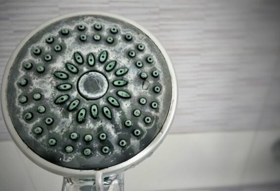 Comment lutter contre le calcaire dans votre douche ?