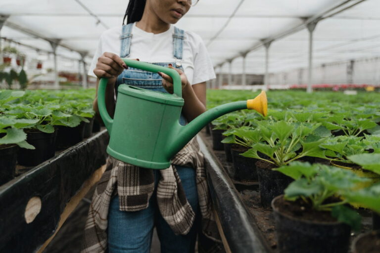 adoucisseur d'eau sans sel pour plantations